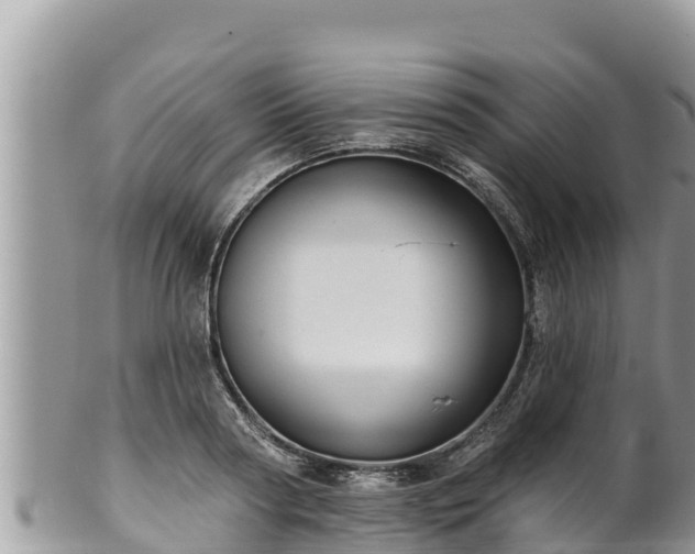 X0000102310794200808011601