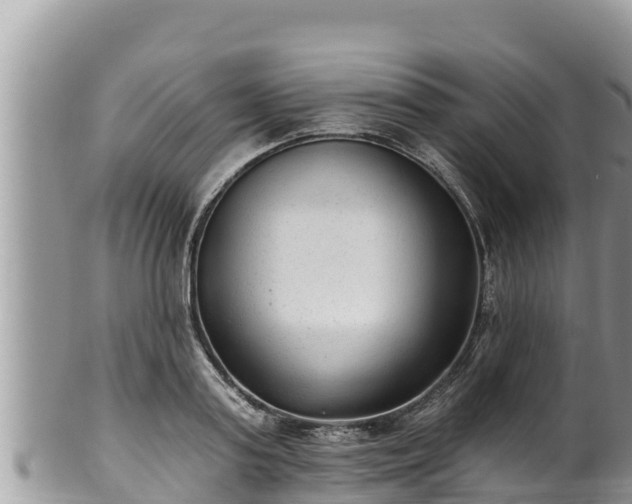 X0000102310795200808011601