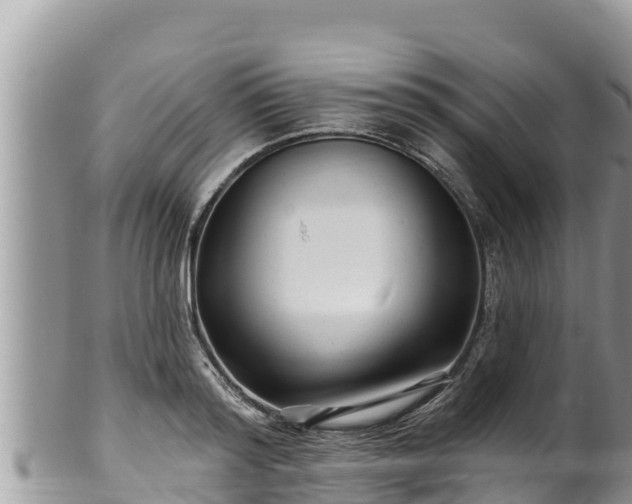 X0000102310796200808011601