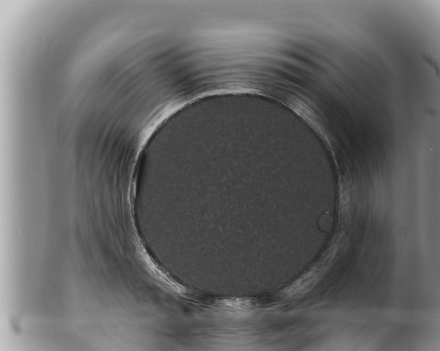 X0000102310797200808011601