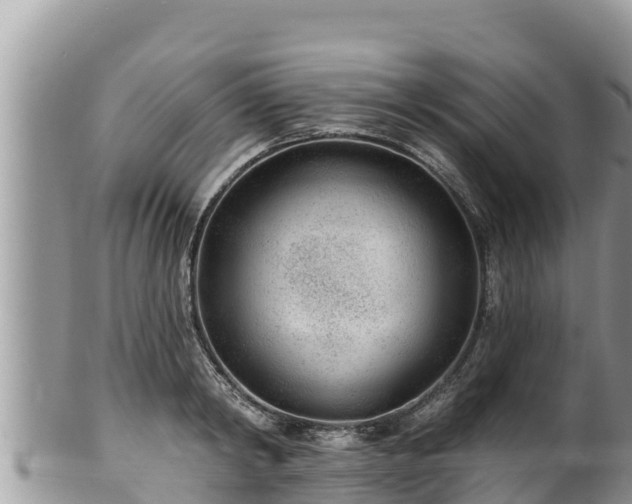 X0000102310798200808011601