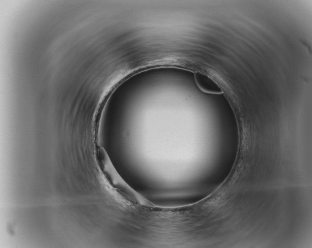 X0000102310800200808011601