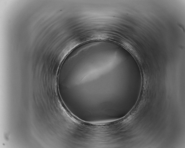 X0000102310802200808011601