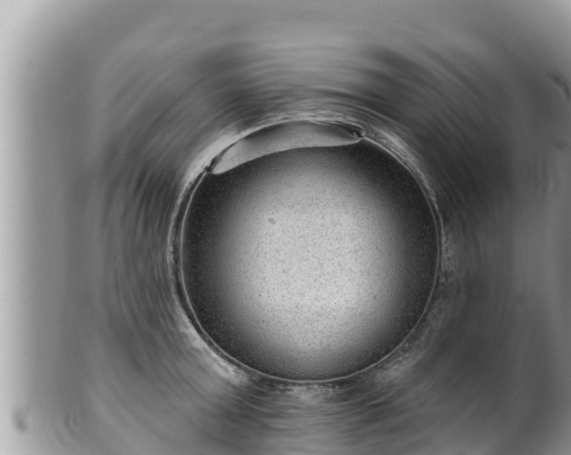 X0000102310803200808011601