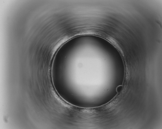 X0000102310805200808011601