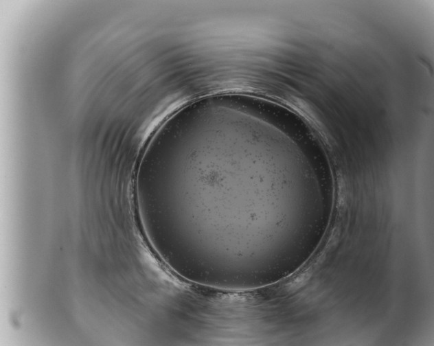 X0000102310806200808011601