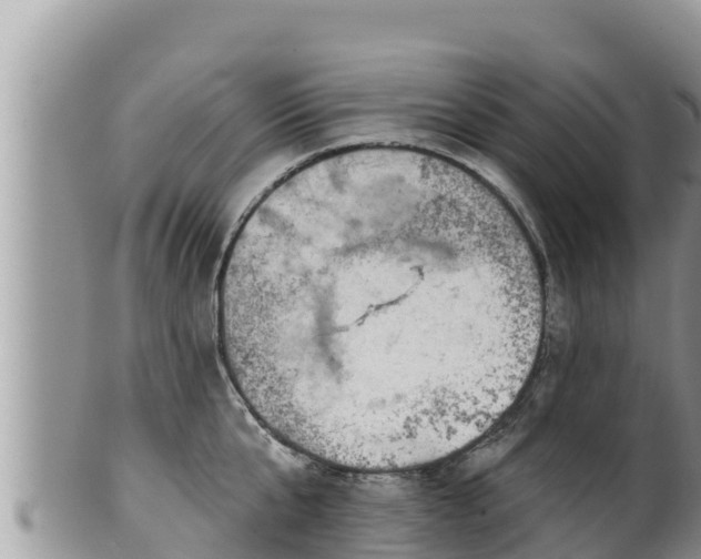 X0000102310807200808011601