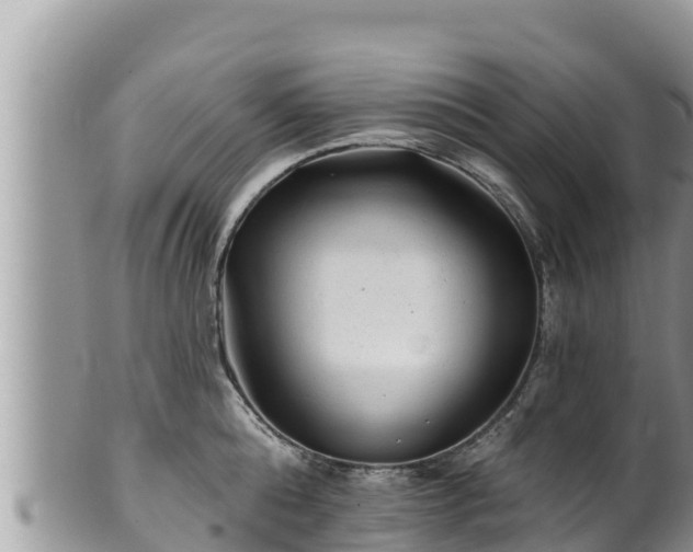 X0000102310808200808011601