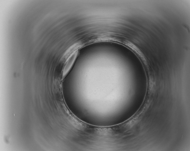 X0000102310809200808011601