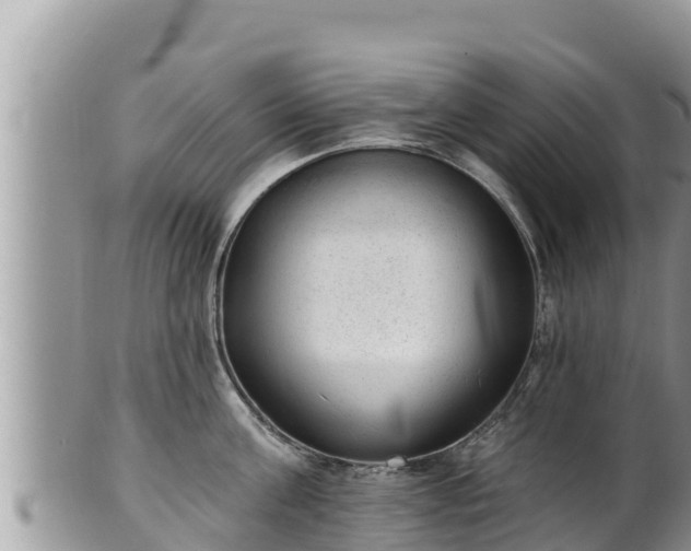 X0000102310811200808011601