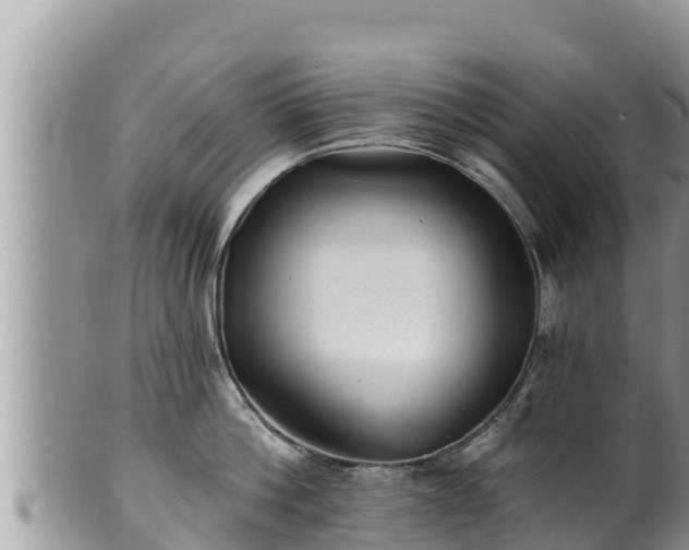 X0000102310812200808011601