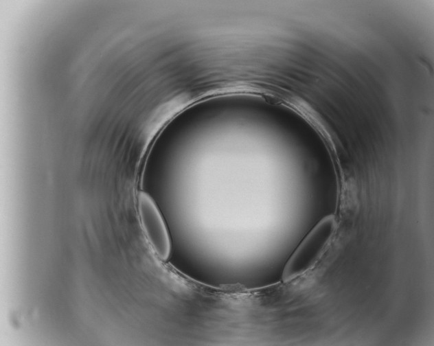 X0000102310813200808011601