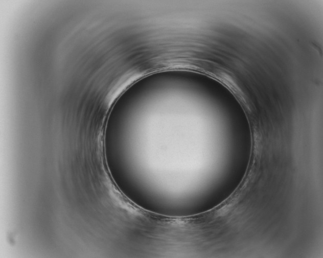 X0000102310814200808011601