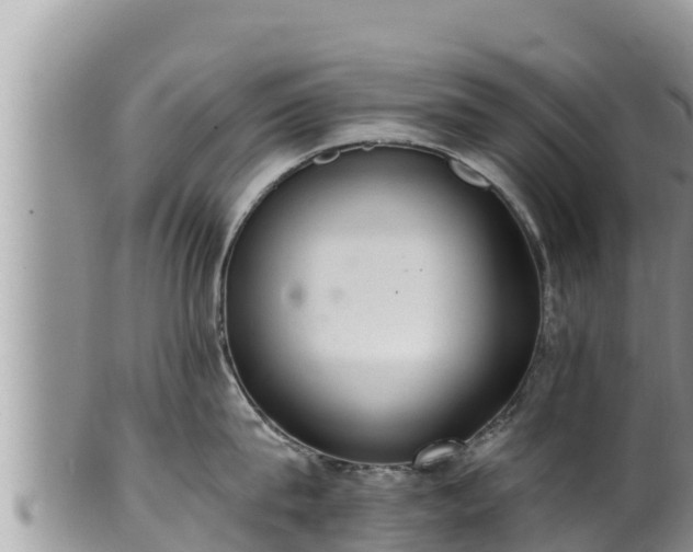 X0000102310815200808011601