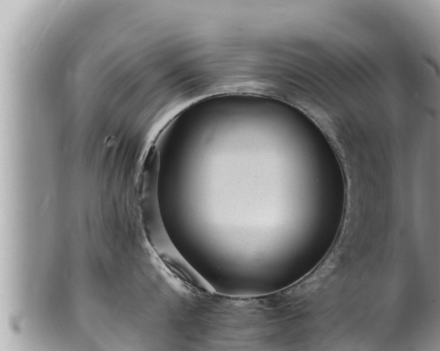 X0000102310816200808011601