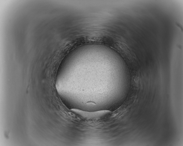 X0000102310817200808011600