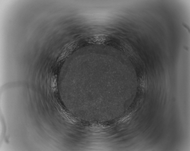 X0000102310818200808011600