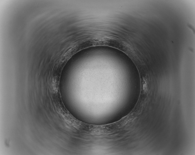 X0000102310819200808011600