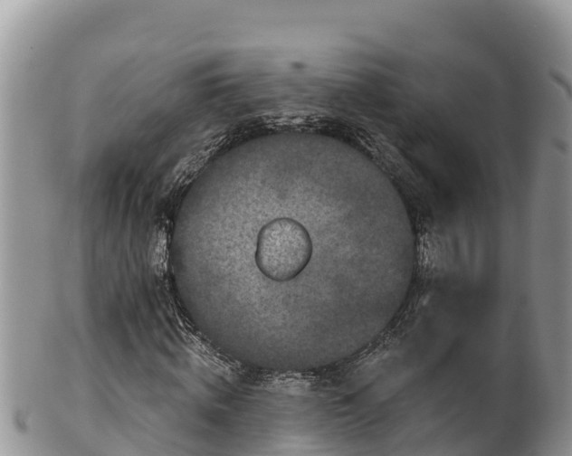 X0000102310820200808011600