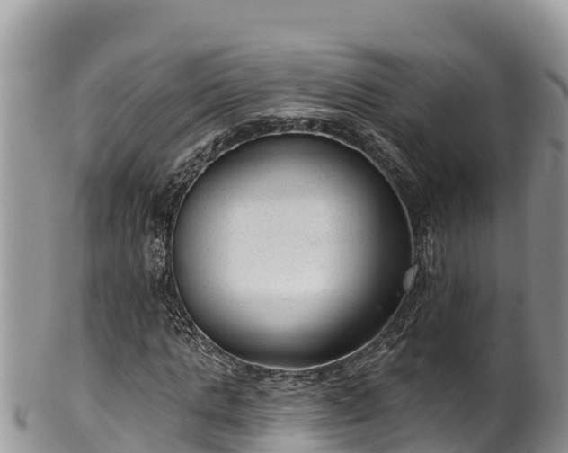 X0000102310821200808011600