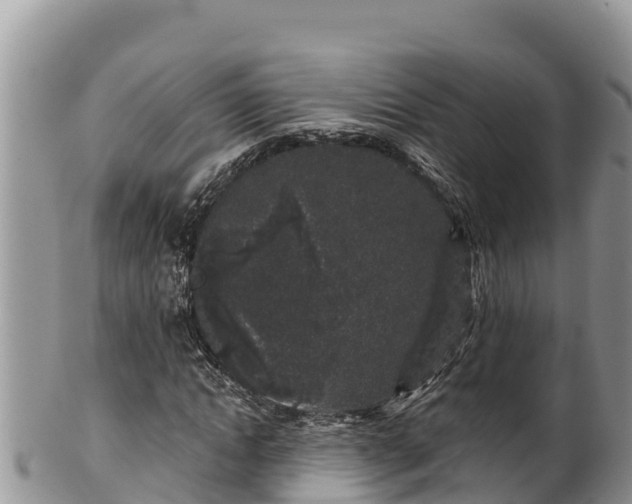 X0000102310822200808011600