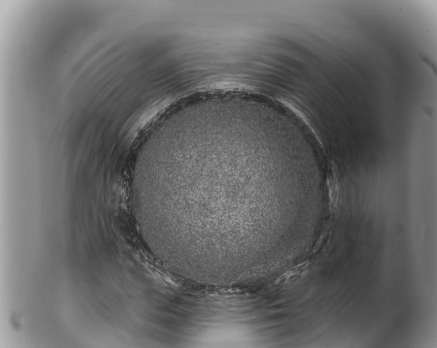 X0000102310823200808011600