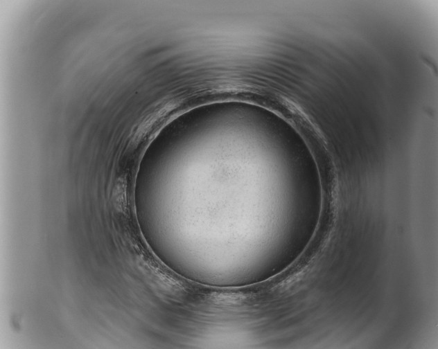 X0000102310825200808011600