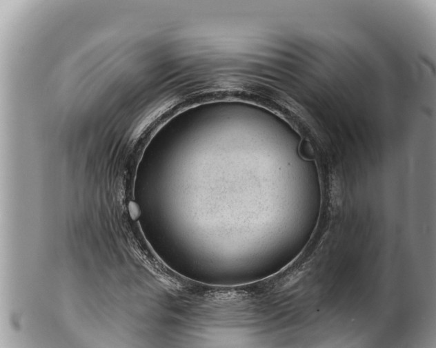 X0000102310826200808011600