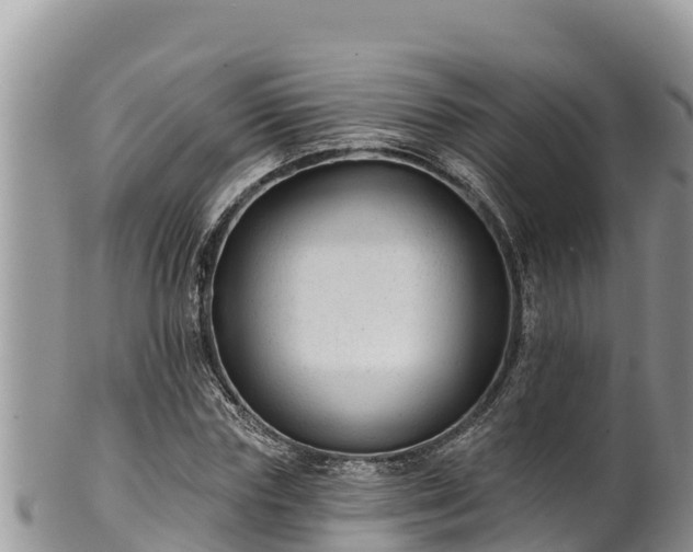 X0000102310827200808011600