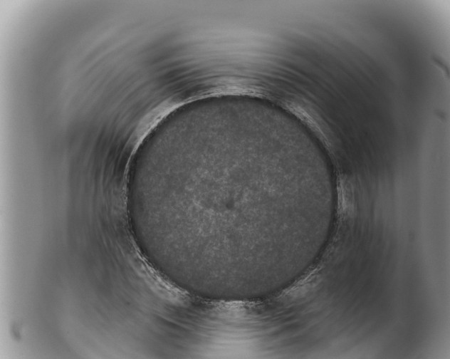 X0000102310828200808011600