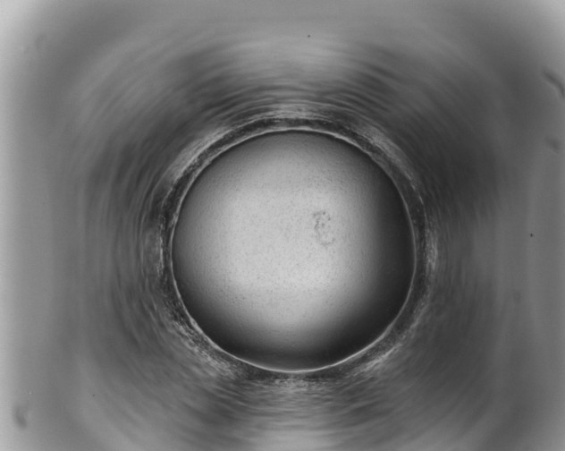 X0000102310829200808011600