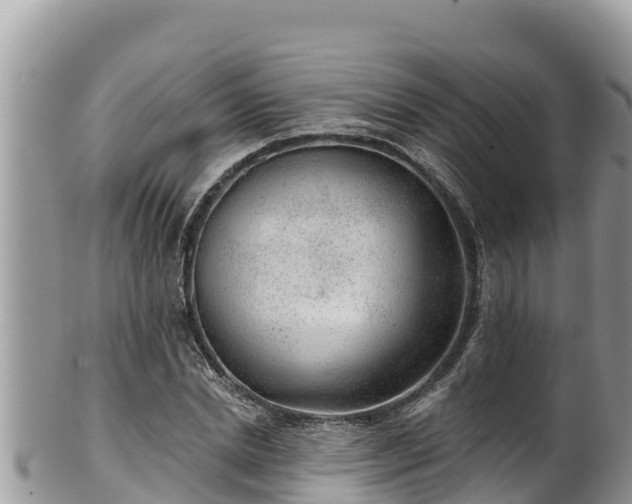 X0000102310830200808011600