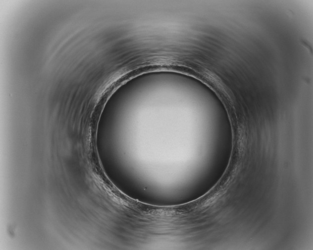 X0000102310831200808011600