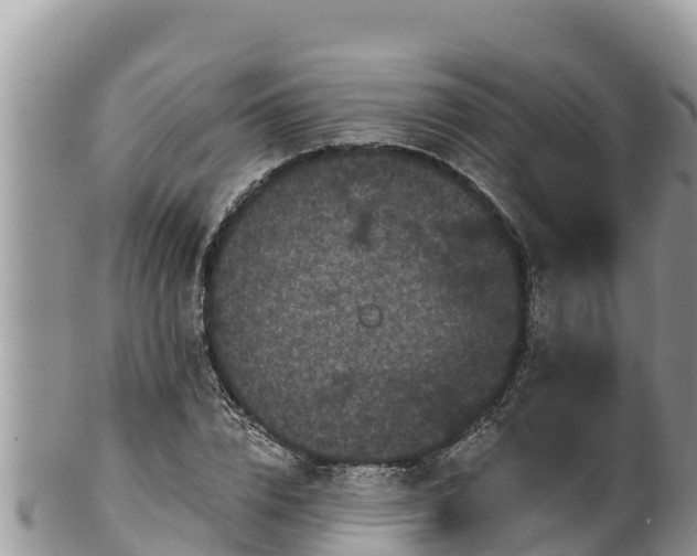 X0000102310832200808011600