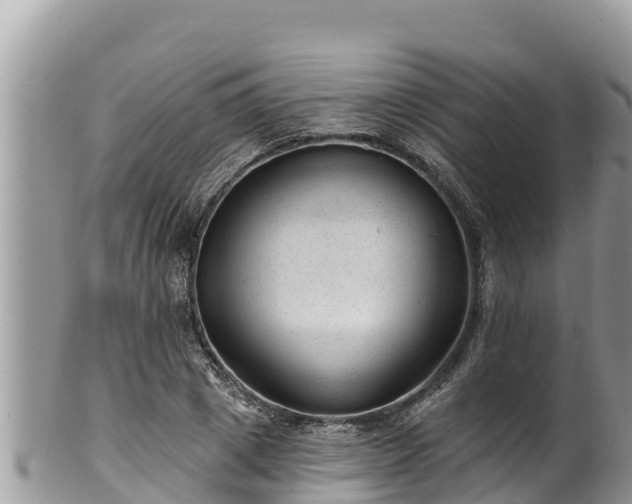 X0000102310833200808011600