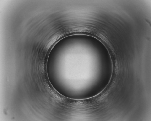 X0000102310834200808011600