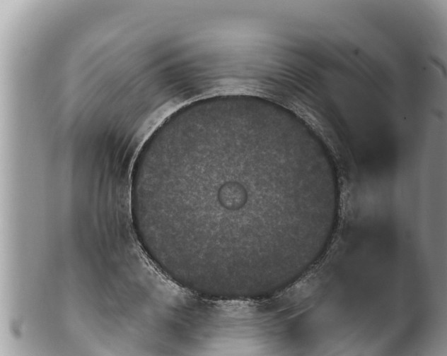 X0000102310836200808011601