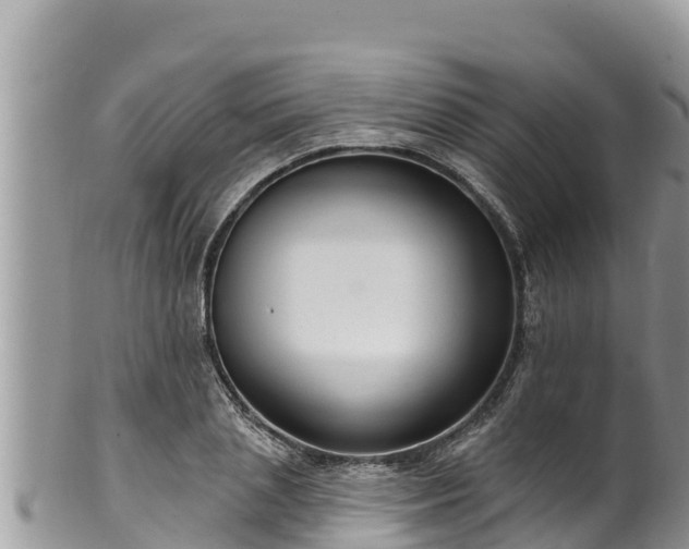 X0000102310837200808011601