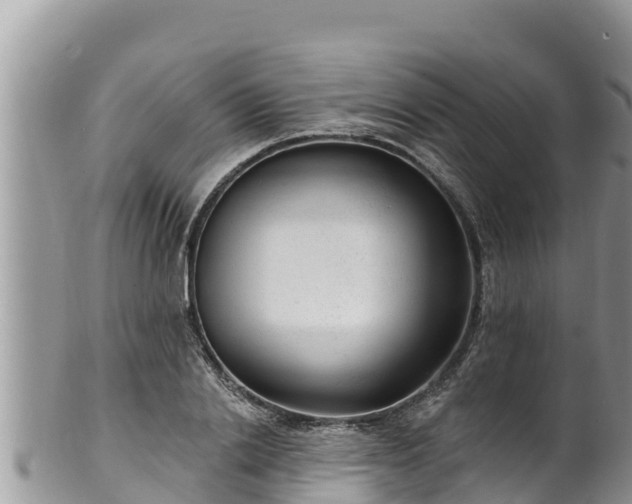 X0000102310838200808011601