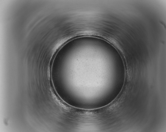 X0000102310839200808011601