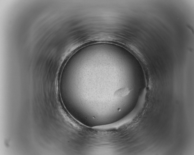 X0000102310840200808011601