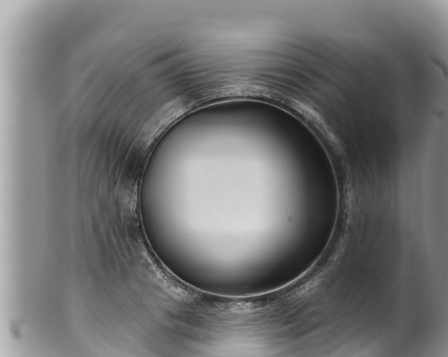 X0000102310841200808011601