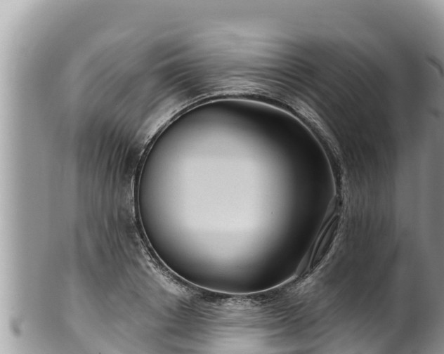 X0000102310842200808011601