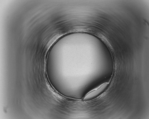 X0000102310844200808011601