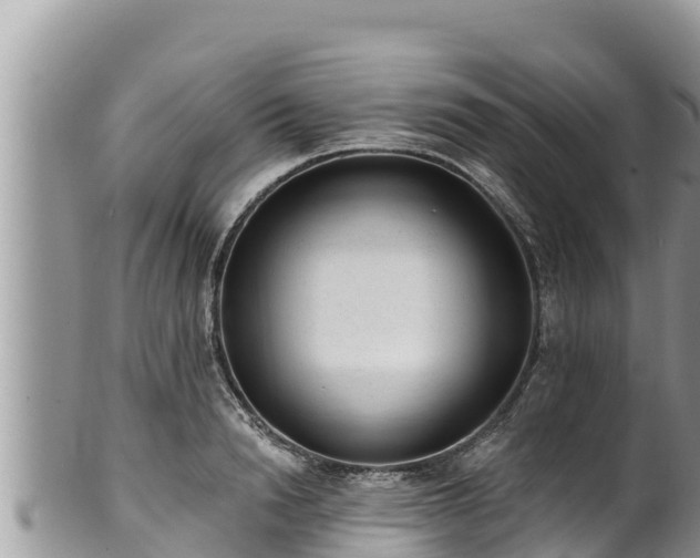 X0000102310846200808011601