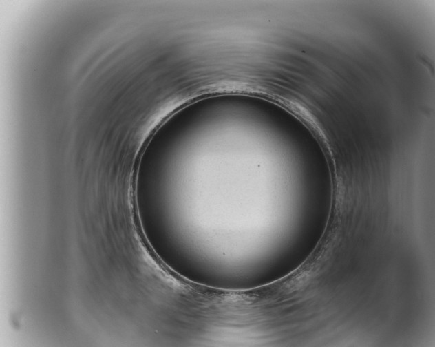 X0000102310847200808011601