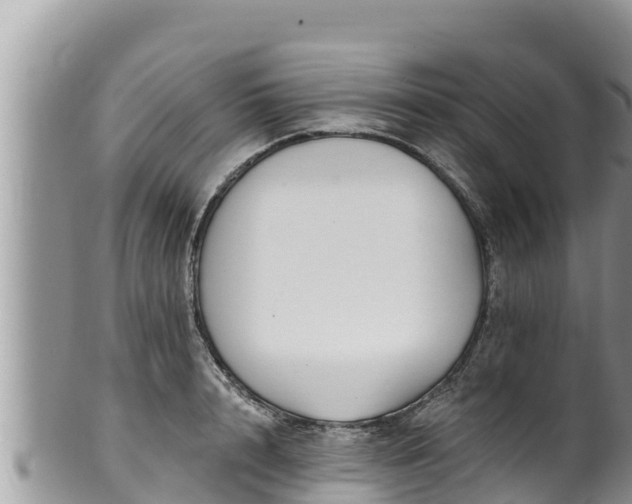 X0000102310848200808011601