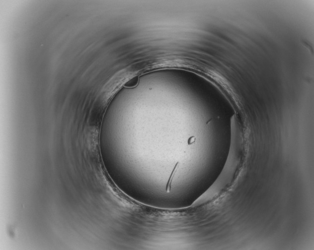 X0000102310849200808011601