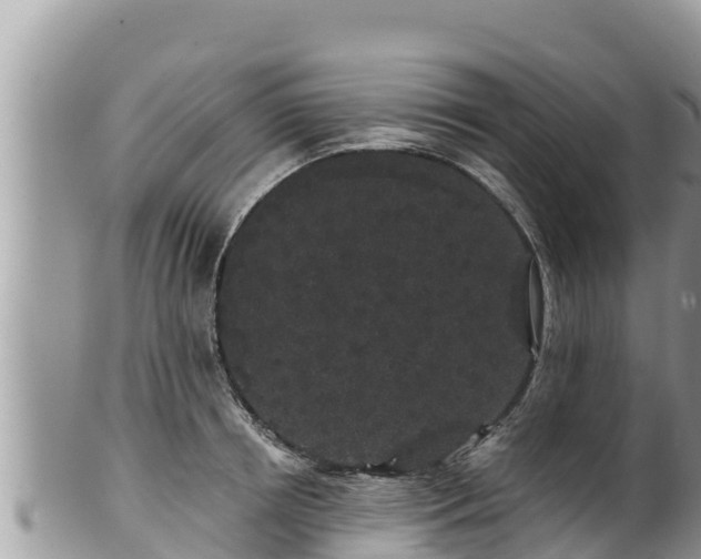 X0000102310850200808011601