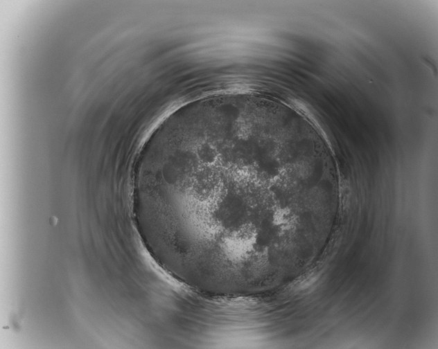 X0000102310851200808011601